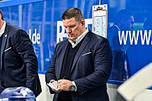 Eishockey, Herren, Penny DEL, 44. Spieltag, Saison 2023-2024, Straubing Tigers - Adler Mannheim,04.02.2024