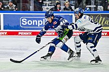 Eishockey, Herren, Penny DEL, 26. Spieltag, Saison 2023-2024, Straubing Tigers - Iserlohn Roosters,10.12.2023