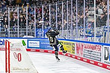 Eishockey, Herren, Penny DEL, 34. Spieltag, Saison 2023-2024, Straubing Tigers - Augsburger Panther,03.01.2024