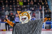 Eishockey, Herren, DEL, Saison 2021-2022, 29.10.2021