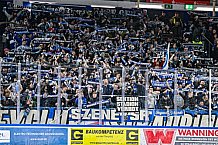 Eishockey, Herren, Penny DEL, 47. Spieltag, Saison 2023-2024, Straubing Tigers - Koelner Haie,18.02.2024