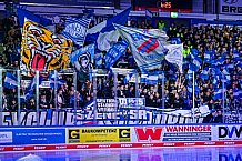 Eishockey, Herren, Penny DEL, Playoffs, Viertelfinale, Spiel 1, Saison 2023-2024, Straubing Tigers - Schwenninger Wild Wings,16.03.2024