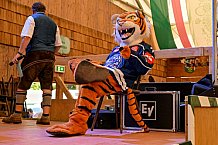 Eishockey, Herren, DEL, Saison 2023-2023, Straubing Tigers, Teampräsentation, Weckmannszelt, Gäubodenvolksfest, 13.08.2022