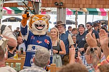 Eishockey, Herren, DEL, Penny DEL, Saison 2023-2024, Straubing Tigers, Mannschaftsvorstellung im Weckmannszelt,12.08.2023