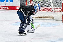 Eishockey, Herren, Penny DEL, 49. Spieltag, Saison 2023-2024, Straubing Tigers - Frankfurter Löwen,25.02.2024