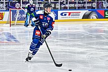 Eishockey, Men, CHL, Champions Hockey League, Regular Saison 2024-25, Game Day 4, Straubing Tigers - Dynamo Pardubice, 15.09.2024