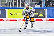 Eishockey, Herren, Penny DEL, Playoffs, Halbfinale, Spiel 2, Saison 2023-2024, Straubing Tigers - Eisbären Berlin, n03.04.2024