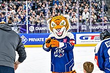 Eishockey, Men, CHL, Champions Hockey League, Regular Saison 2024-25, Game Day 4, Straubing Tigers - Dynamo Pardubice, 15.09.2024