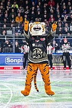 Eishockey, Herren, Penny DEL, 50. Spieltag, Saison 2023-2024, Straubing Tigers - Eisbären Berlin,01.03.2024