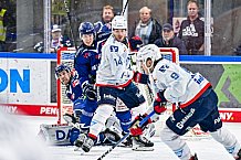 Eishockey, Men, DEL, Penny DEL, Hauptrunde Saison 2024-25, 8. Spieltag, Straubing Tigers - Adler Mannheim, 11.10.2024