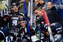 Eishockey, Herren, DEL, Saison 2021-2022, 01.10.2021