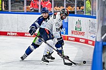 Eishockey, Herren, Penny DEL, 42. Spieltag, Saison 2023-2024, Straubing Tigers - Ingolstadt Panther,28.01.2024