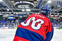 Eishockey, Herren, Penny DEL, Playoffs, Viertelfinale, Spiel 5, Saison 2023-2024, Straubing Tigers - Schwenninger Wild Wings,26.03.2024