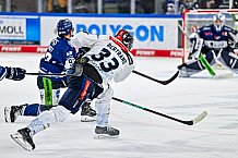Eishockey, Herren, Penny DEL, 42. Spieltag, Saison 2023-2024, Straubing Tigers - Ingolstadt Panther,28.01.2024