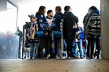 Eishockey, Herren, DEL, Saison 2021-2022, Playoff, Viertelfinale, Spiel 1, Straubing Tigers - Adler Mannheim, 10.04.2022