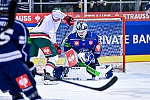 Eishockey, Herren, CHL, Champions Hockey League, Saison 2022-2023, Achtelfinale, Straubing Tigers - Frölunda HC Göteborg, Rückspiel, 22.11.2022