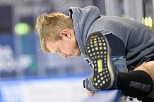 Eishockey, Herren, DEL, Saison 20202021, Straubing Tigers - Adler Mannheim, 22.01.2021