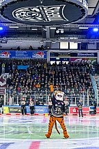 Eishockey, Herren, Penny DEL, 47. Spieltag, Saison 2023-2024, Straubing Tigers - Koelner Haie,18.02.2024