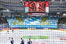 Eishockey, Men, CHL, Champions Hockey League, Regular Saison 2024-25, Game Day 2, Straubing Tigers - Skelleftea AIK, 08.09.2024