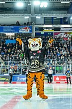 Eishockey, Herren, Penny DEL, 12. Spieltag, Saison 2023-2024, Straubing Tigers - Duesseldorfer EG,20.10.2023