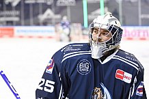 Eishockey, Herren, DEL, Saison 2020 2021, Straubing Tigers - Schwenninger Wild Wings, 25.01.2021