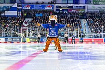 Eishockey, Herren, Penny DEL, Playoffs, Halbfinale, Spiel 2, Saison 2023-2024, Straubing Tigers - Eisbären Berlin, n03.04.2024