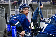 Eishockey, Herren, Penny DEL, Saison 2024-2024, Showtraining, 24.08.2024