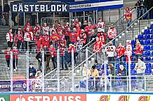 Eishockey, Men, CHL, Champions Hockey League, Regular Saison 2024-25, Game Day 4, Straubing Tigers - Dynamo Pardubice, 15.09.2024