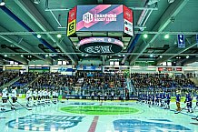 Eishockey, CHL, Champions Hockey League, 4. Spieltag, Saison 2022-2023, Gruppe F, Straubing Tigers - Färjestad BK Karlstad, 11.09.2022