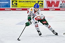 Eishockey, Herren, Penny DEL, 40. Spieltag, Saison 2023-2024, Straubing Tigers - Augsburger Panther,21.01.2024