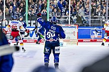 Eishockey, Men, DEL, Penny DEL, Hauptrunde Saison 2024-25, 1. Spieltag, Straubing Tigers - Düsseldorfer EG, 20.09.2024