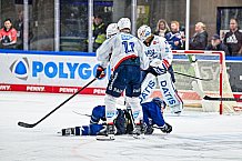 Eishockey, Men, DEL, Penny DEL, Hauptrunde Saison 2024-25, 8. Spieltag, Straubing Tigers - Adler Mannheim, 11.10.2024
