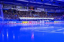 Eishockey, Herren, Penny DEL, 33. Spieltag, Saison 2023-2024, Straubing Tigers - Nürnberg Ice Tigers,30.12.2023