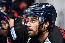 Eishockey, Herren, DEL, Saison 2021-2022, 19.10.2021