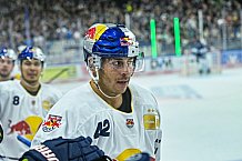Eishockey, Herren, Penny DEL, 5. Spieltag, Saison 2023-2024, Straubing Tigers - EHC Red Bull Muenchen,29.09.2023
