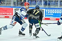 Eishockey, Herren, Penny DEL, 16. Spieltag, Saison 2023-2024, Straubing Tigers - Schwenninger Wild Wings,31.10.2023