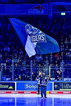 Eishockey, Herren, Penny DEL, Playoffs, Viertelfinale, Spiel 5, Saison 2023-2024, Straubing Tigers - Schwenninger Wild Wings,26.03.2024