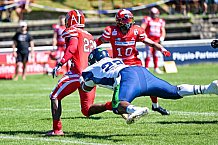 American Football, Herren, Shark Water GFL, Saison 2022, Straubing Spiders -  Mecenaries Marburg, 02.07.2022