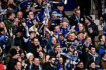 Eishockey, Herren, Penny DEL, DEL, Saison 2022-2023, Playoffs, Viertelfinale, Spiel 1, Straubing Tigers - Grizzlys Wolfsburg, 14.03.2023