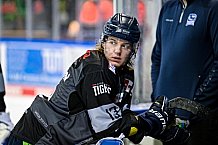Eishockey, Herren, DEL, Saison 2021-2022, 49. Spieltag, Straubing Tigers - EHC Red Bull München,  27.02.2022