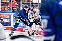 Eishockey, Men, DEL, Penny DEL, Hauptrunde Saison 2024-25, 4. Spieltag, Straubing Tigers - EHC Red Bull München, 29.09.2024