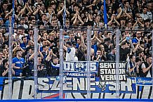 Eishockey, Herren, Penny DEL, Playoffs, Viertelfinale, Spiel 7, Saison 2023-2024, Straubing Tigers - Schwenninger Wild Wings,30.03.2024