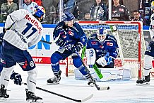 Eishockey, Men, DEL, Penny DEL, Hauptrunde Saison 2024-25, 4. Spieltag, Straubing Tigers - EHC Red Bull München, 29.09.2024