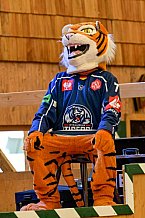 Eishockey, Herren, DEL, Saison 2023-2023, Straubing Tigers, Teampräsentation, Weckmannszelt, Gäubodenvolksfest, 12.08.2022