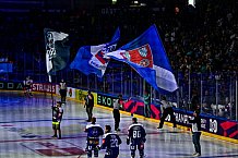Eishockey, Men, CHL, Champions Hockey League, Regular Saison 2024-25, Game Day 2, Straubing Tigers - Skelleftea AIK, 08.09.2024
