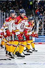 Eishockey, Herren, Penny DEL, 20. Spieltag, Saison 2023-2024, Straubing Tigers - Duesseldorfer EG,19.11.2023