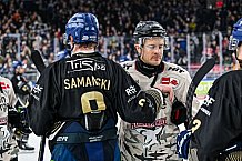 Eishockey, Herren, Penny DEL, 47. Spieltag, Saison 2023-2024, Straubing Tigers - Koelner Haie,18.02.2024