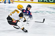 Eishockey, Men, CHL, Champions Hockey League, Regular Saison 2024-25, Game Day 2, Straubing Tigers - Skelleftea AIK, 08.09.2024
