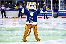 Eishockey, Herren, DEL, Saison 2021-2022, 05.11.2021