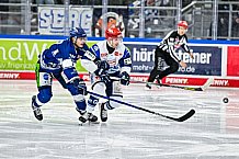 Eishockey, Herren, Penny DEL, 29. Spieltag, Saison 2023-2024, Straubing Tigers - Schwenninger Wild Wings,21.12.2023